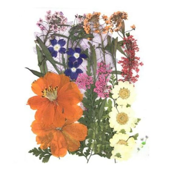 Press Dried Flowers Handicraft Flower Bouquet 25 5 inches pack