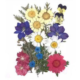 Press Dried Flowers Handicraft | Small Flowers #34 - 5 inches pack