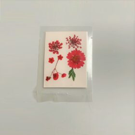 Press Dried Flowers Handicraft Pack | Red #44