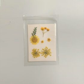 Press Dried Flowers Handicraft Pack | Yellow #47