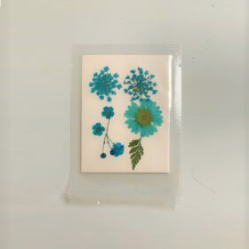Press Dried Flowers Handicraft Pack | Blue #46