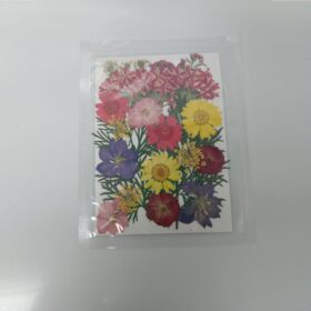Press Dried Flowers Handicraft Pack | MultiColors |Big size