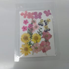 Press Dried Flowers Handicraft Pack | Pink and Yellow | Big