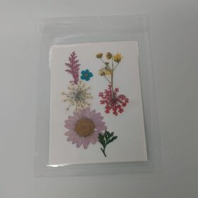 Press Dried Flowers Handicraft Pack | Pink