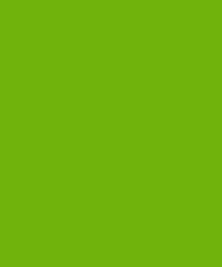 HTV Apple Green Heat Transfer Iron